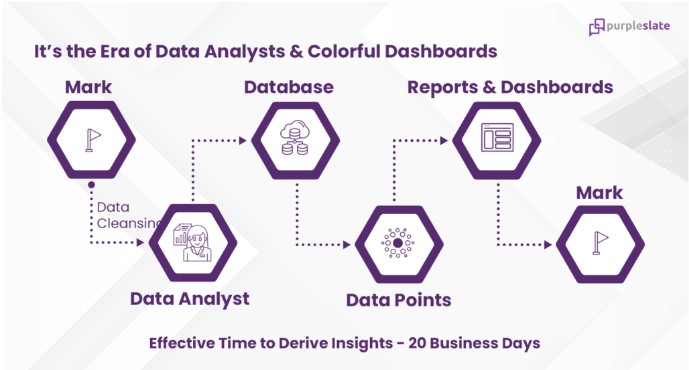 Effective time to derive insights - 20 business days