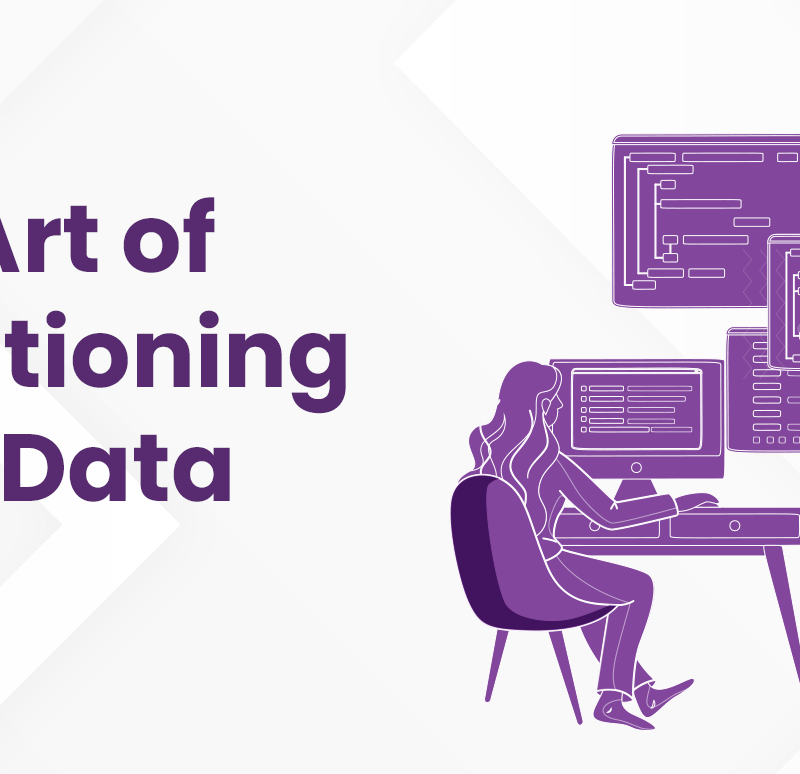 the art of questioning your data