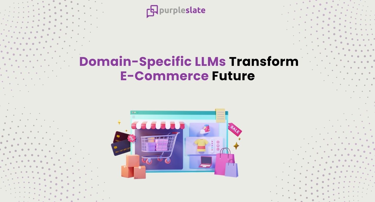 Ecommerce with Domain Specific LLMs